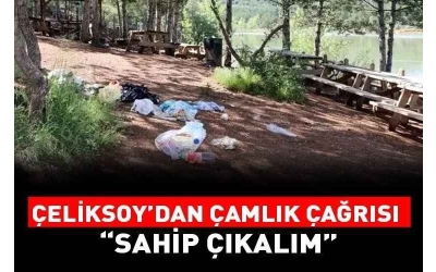 Başkanımız Hakan Çeliksoy’dan Çamlık Çağrısı